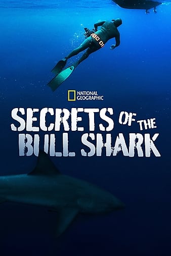 ţSecrets of the Bull Shark
