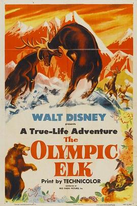 罗斯福马鹿 The Olympic Elk