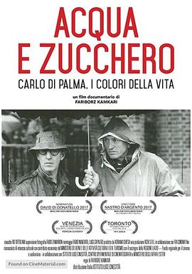 ˮǣӰҿɫ Acqua e zucchero: Carlo Di Palma, i colori della vita