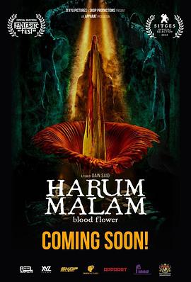Ѫ Harum Malam