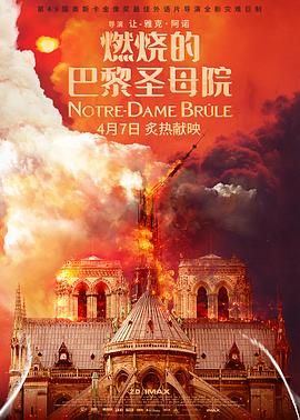 ȼյİʥĸԺ Notre-Dame brle