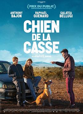 ˹ Chien de la casse