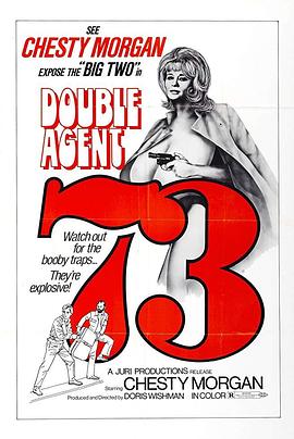 ˫ؼ73 Double Agent 73