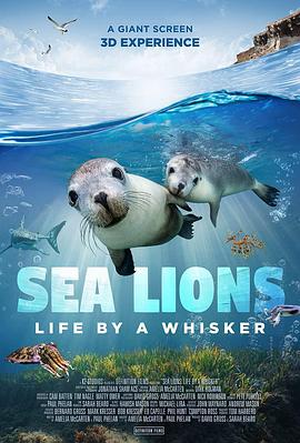 ʨ Sea Lions: Life by a Whisker