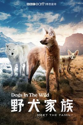 ҰȮ Dogs in the Wild: Meet the Family