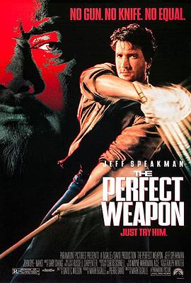 热血悍将 The Perfect Weapon