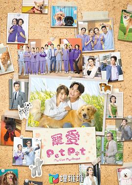 谮Pet Pet Pet Pet