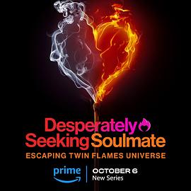 Ѱ£˫ Desperately Seeking Soulmate: Escaping Twin Flames Universe