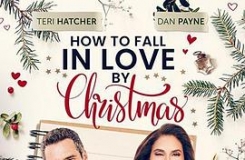 How to Fall in Love by Christmas