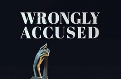 Wrongly Accused Season 1